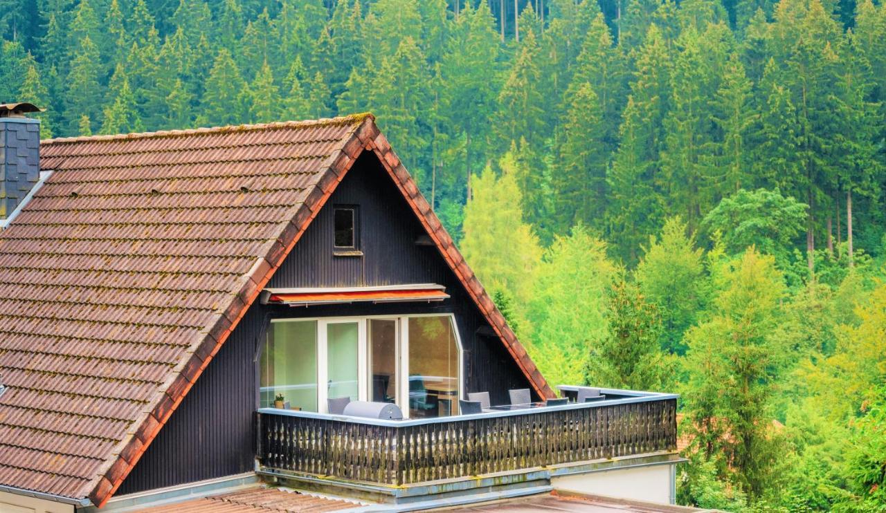 Ferienwohnungen Und Ferienhaus Hafermarkt Wildemann Kültér fotó