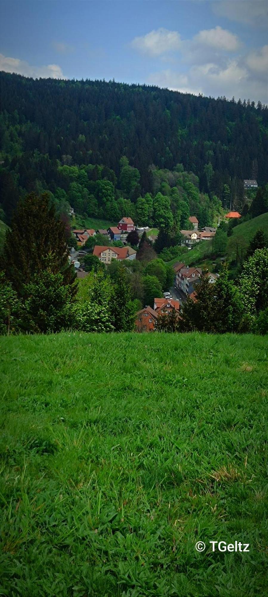 Ferienwohnungen Und Ferienhaus Hafermarkt Wildemann Kültér fotó