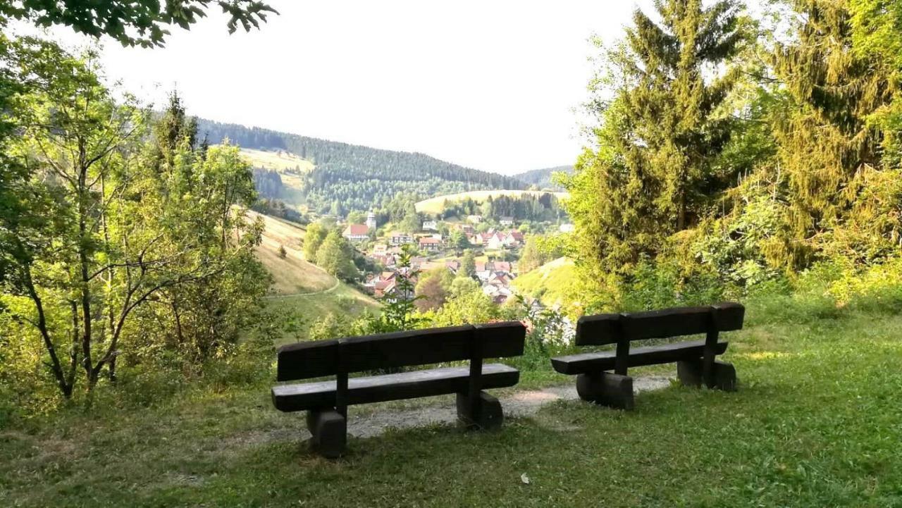 Ferienwohnungen Und Ferienhaus Hafermarkt Wildemann Kültér fotó