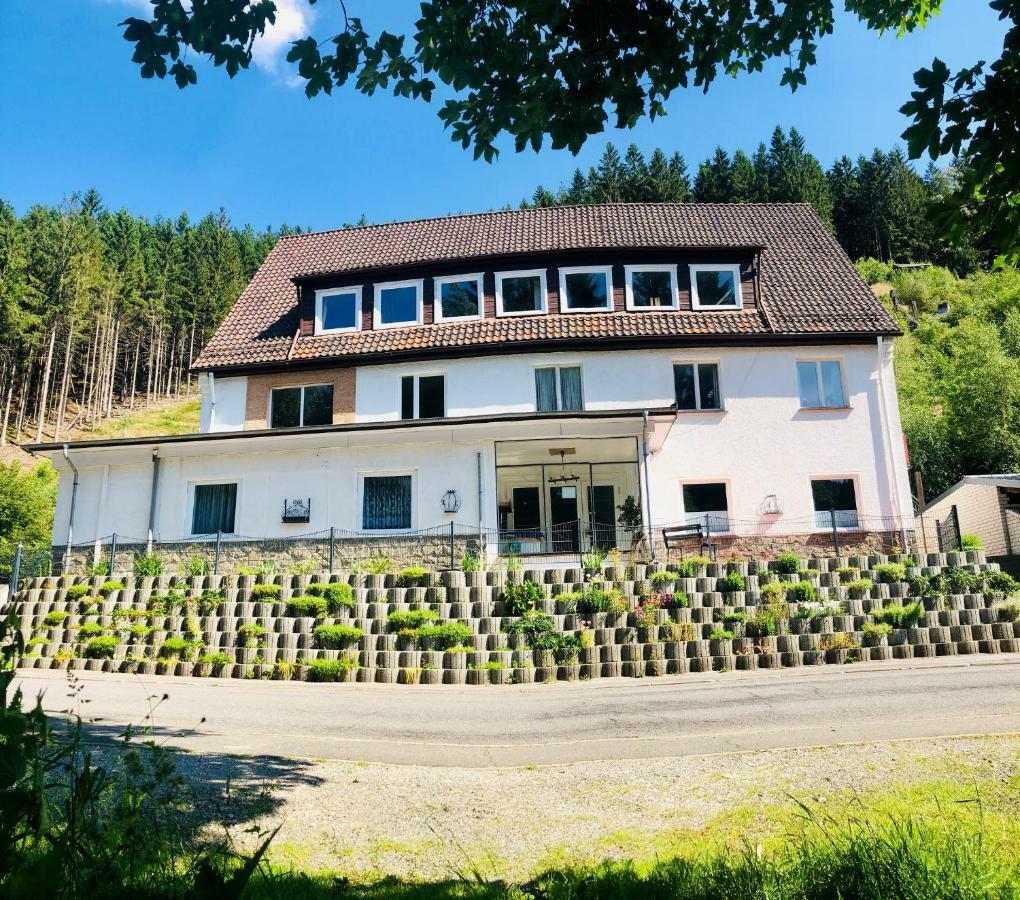 Ferienwohnungen Und Ferienhaus Hafermarkt Wildemann Kültér fotó